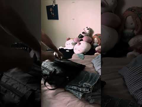 Organizador de equipaje colgante